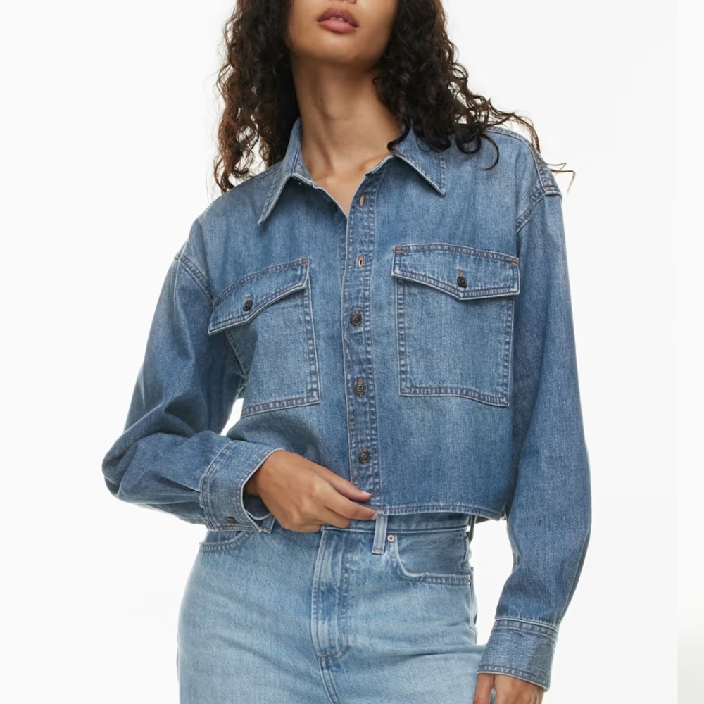Aritzia 90s utility Denim Top